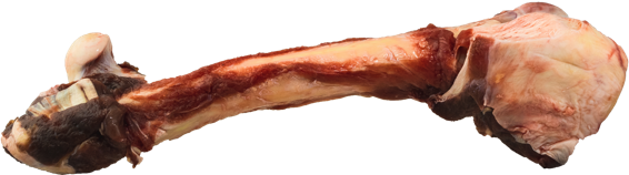 K9 Choice - Whole Kangaroo Leg