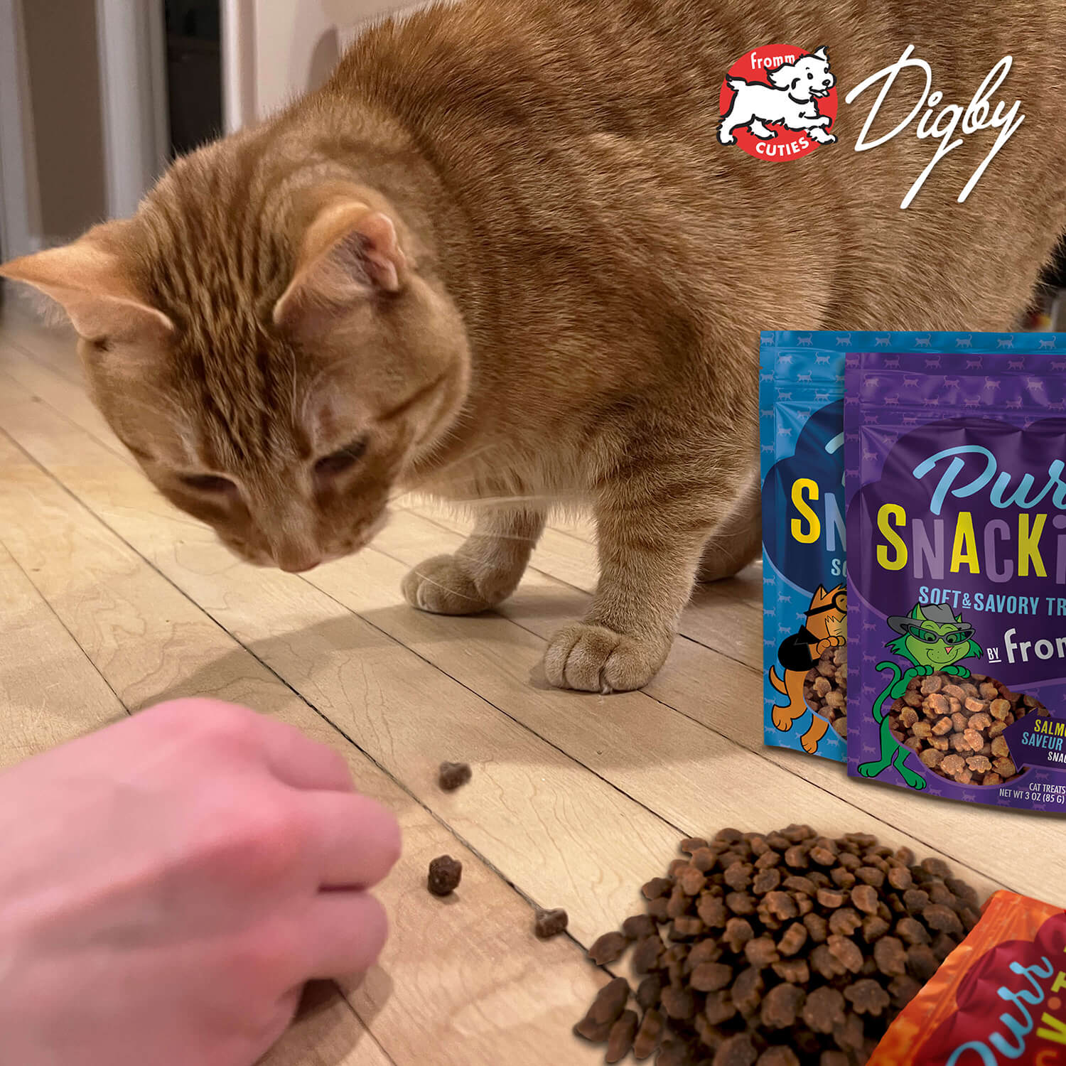 Fromm PurrSnackitty - Chicken Treats