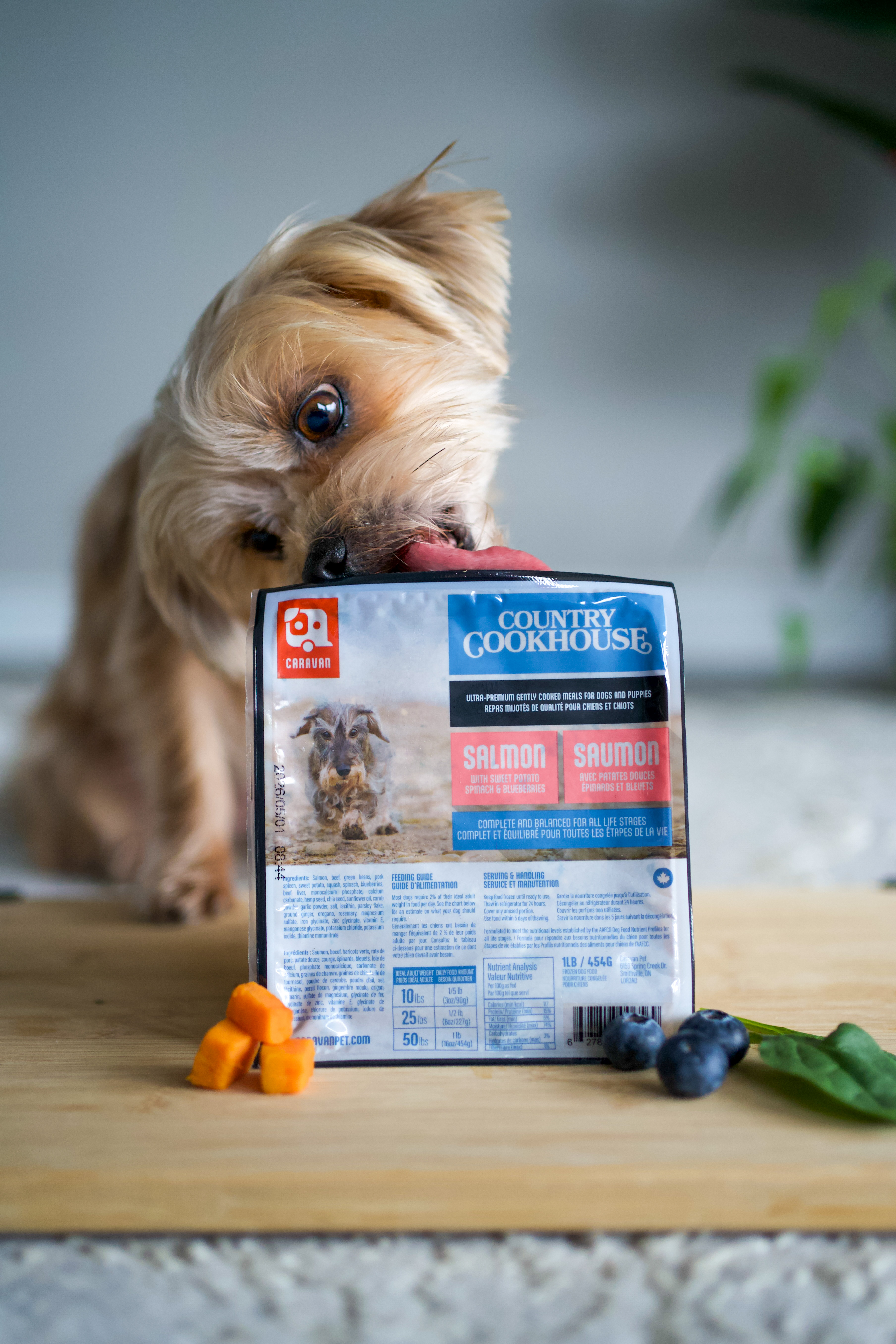 Big Country Raw - Caravan - Salmon