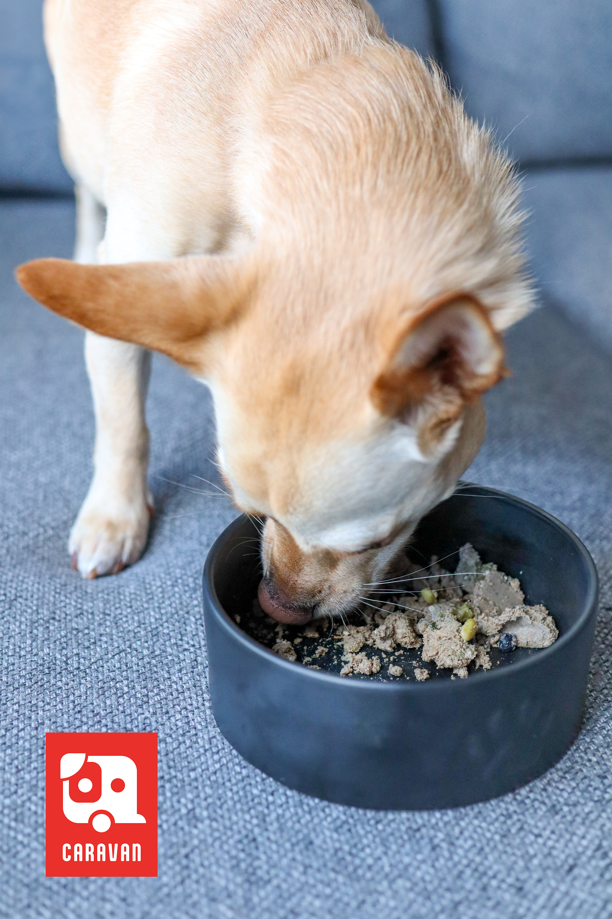 Big Country Raw - Caravan - Chicken