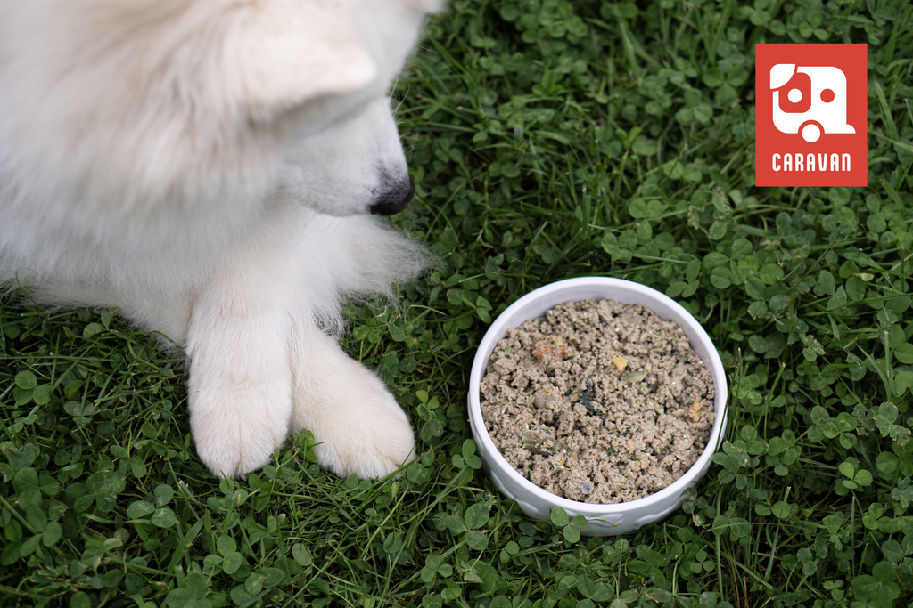 Big Country Raw - Caravan - Beef