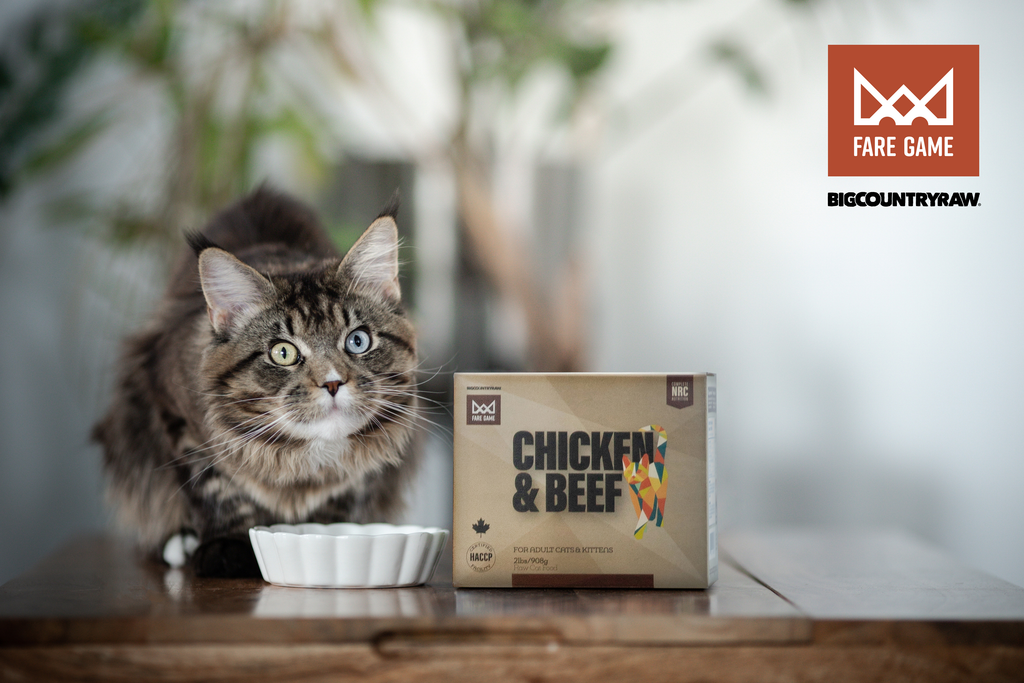 Big Country Raw - Fare Game - Chicken & Beef