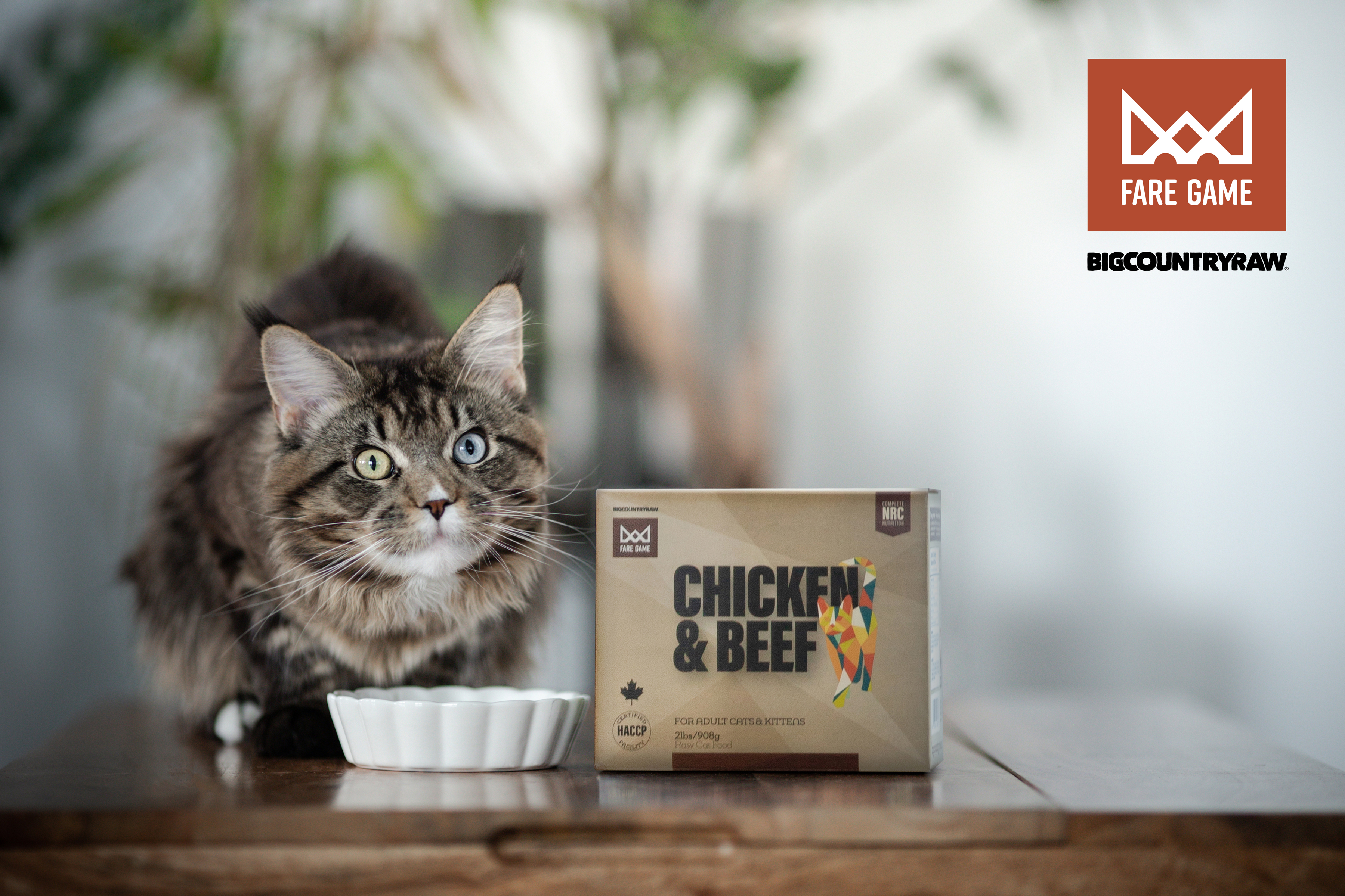 Big Country Raw - Fare Game - Chicken & Beef