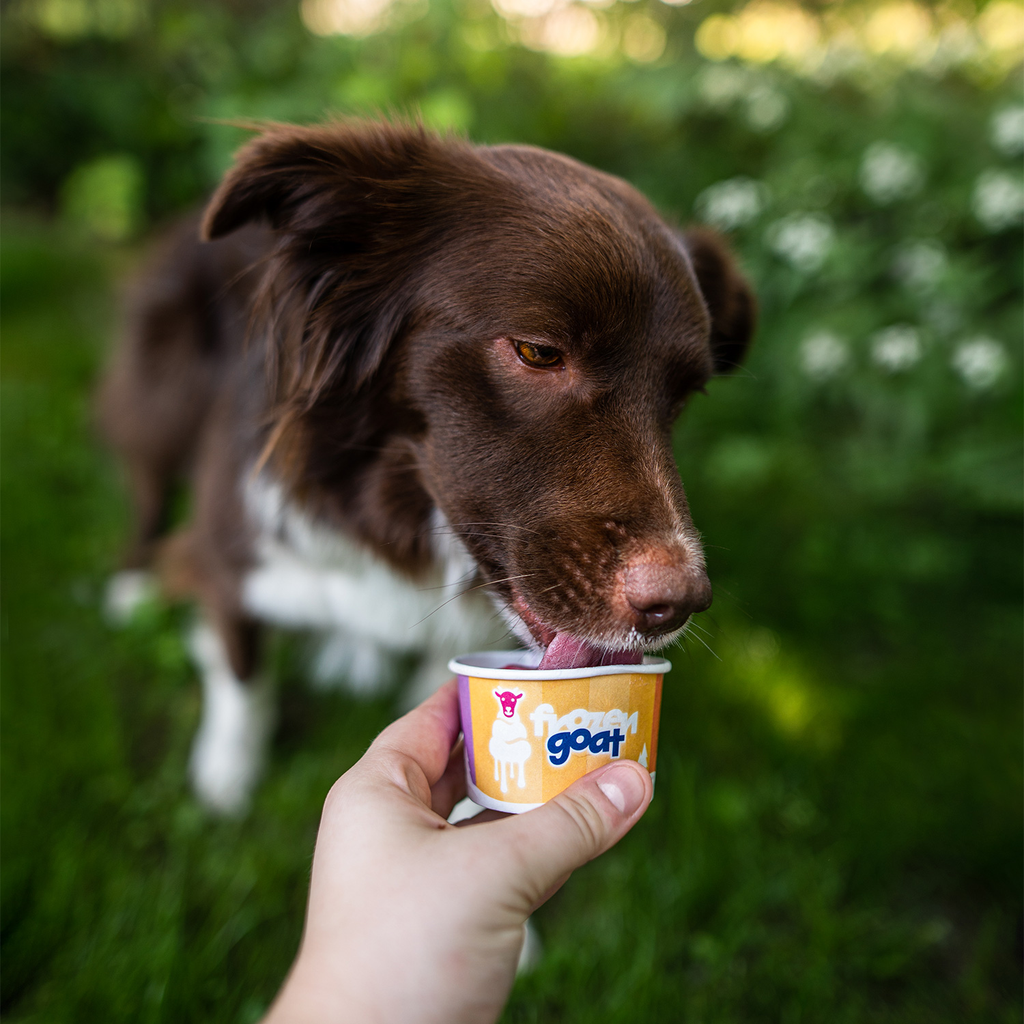 Big Country Raw - Frozen Goat - Cookies N Cream