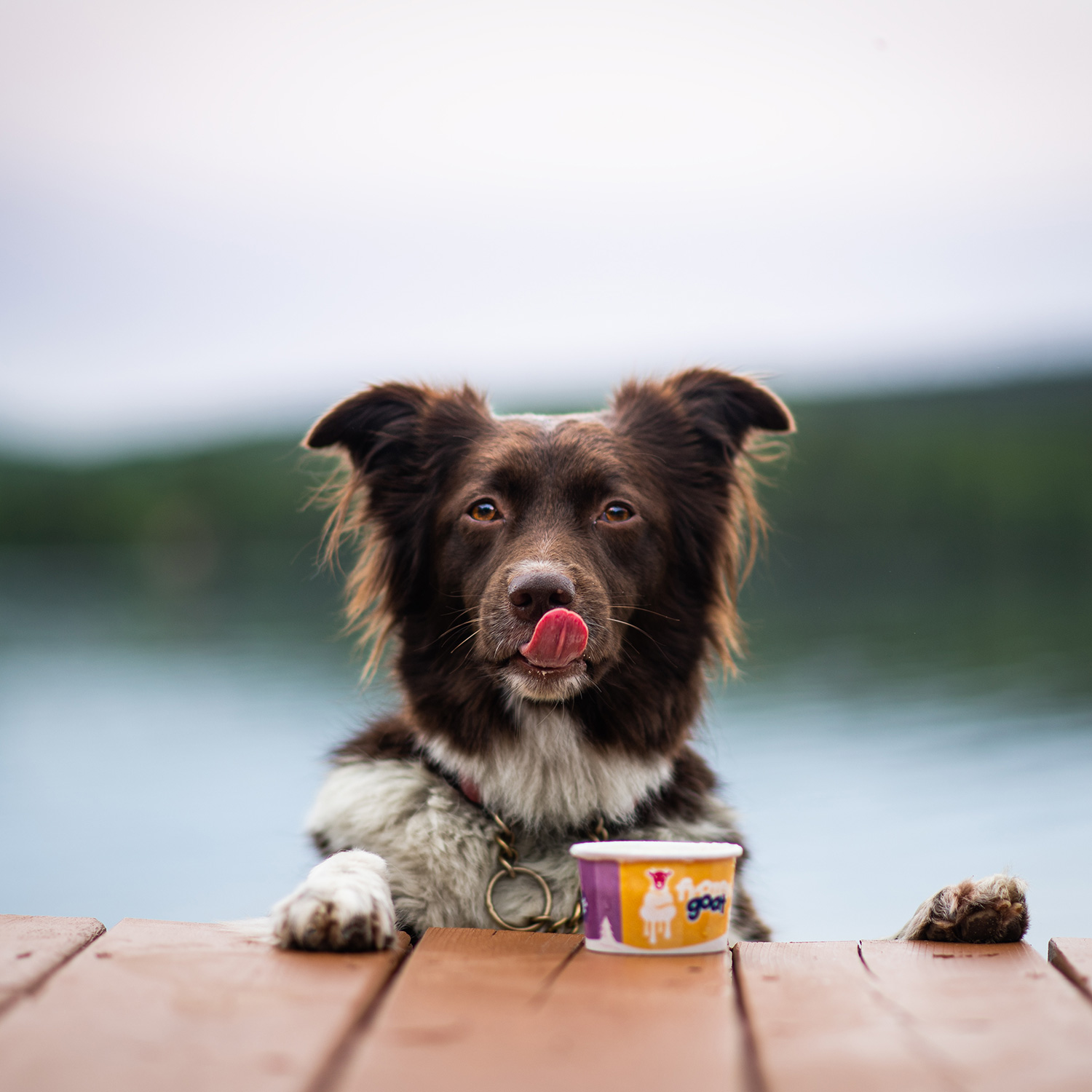 Big Country Raw - Frozen Goat - CanEHdian Maple