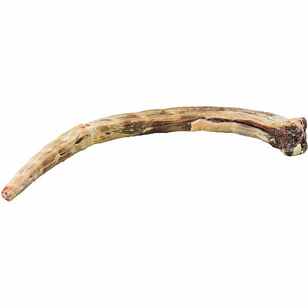 K9 Choice - Whole Kangaroo Tail