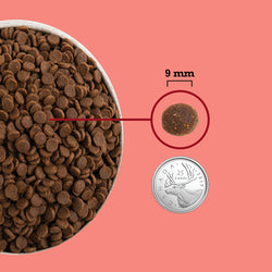 Acana - Highest Protein - Indoor Cat