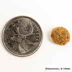 Petkind - Single Animal Protein - Weight Management Lamb