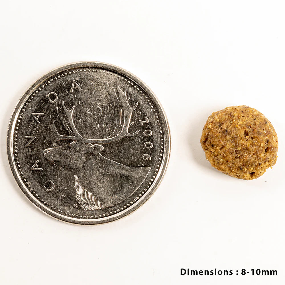 Petkind - Single Animal Protein - Weight Management Lamb