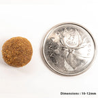 Petkind - Green Tripe & Red Meat Formula