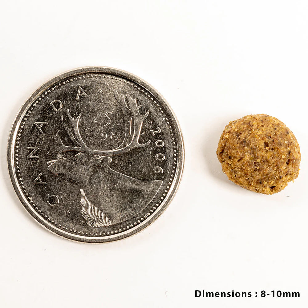 Petkind - Single Animal Protein - Lamb Tripe Formula