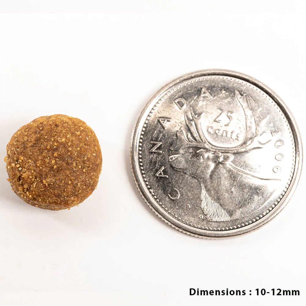 Petkind - Green Tripe & Salmon Formula