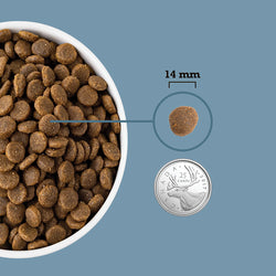 Acana - Healthy Grains - Sea to Stream