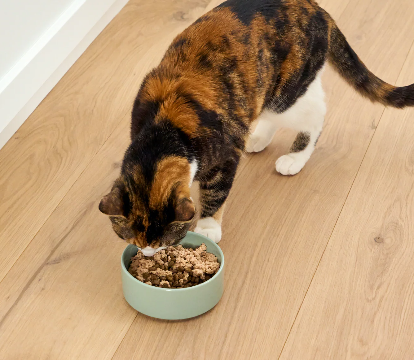 Open Farm Cat - Meal Topper - Arctic Char