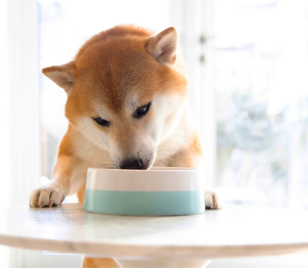Open Farm - Rustic Stew - Chicken