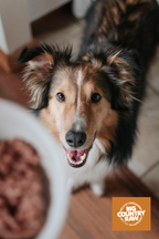 Big Country Raw - Beef Dinner