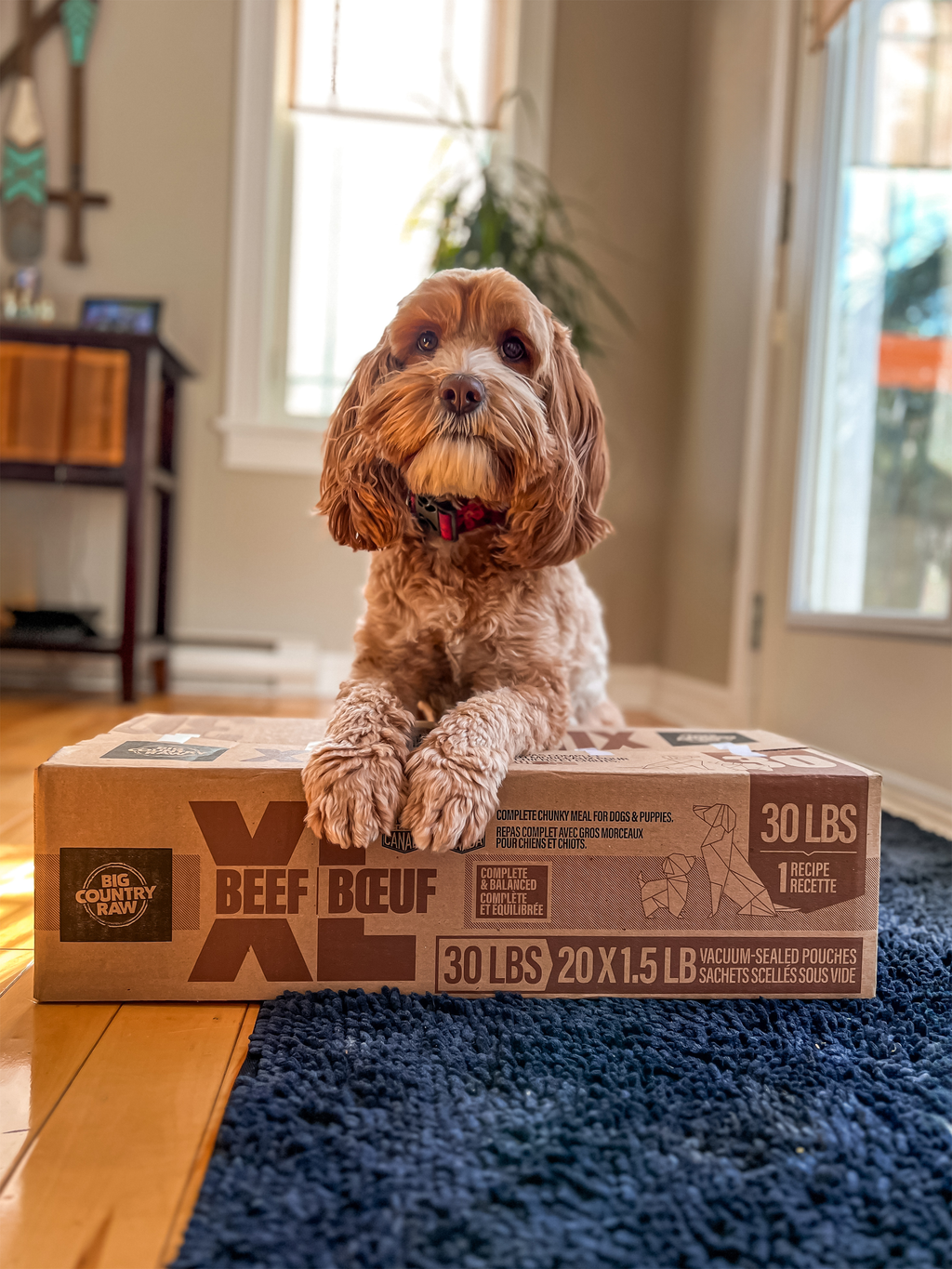 Big Country Raw - XL - Feast